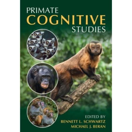 Primate Cognitive Studies (häftad, eng)