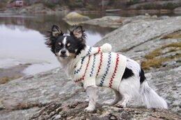 Beskrivning Hundtröja