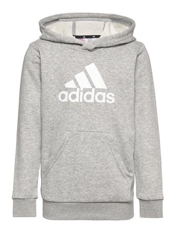 U Bl Hoodie Adidas Performance Grey