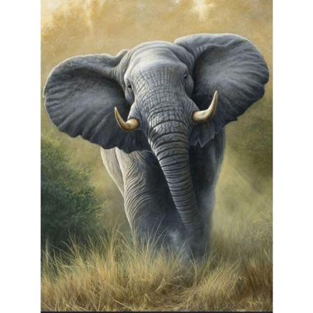 Diamond Painting 5d Diy Diamant Målning Stl.30*40cm