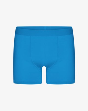 Classic Organic Boxer Briefs - Pacific Blue - Male - XS