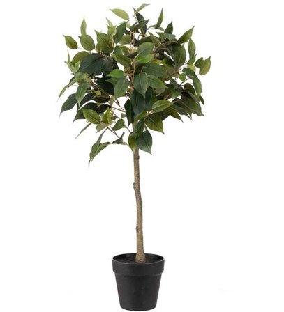 Mr Plant Kunstig Plante Fiken H75