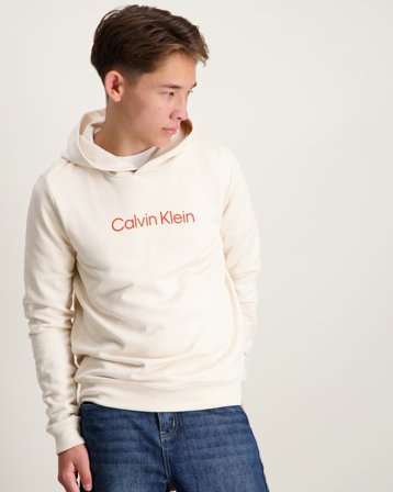 Calvin Klein INST. LOGO REG. TERRY HOODIE Beige Hoodies Jongens - Kids Brand Store