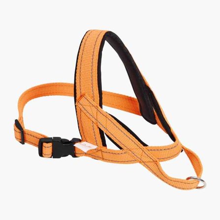 Spårsele storlek 3 - Biltema