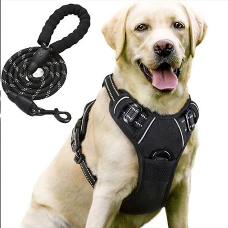 Hundesele - Ikke specificeret - Størrelse M - Justerbar - Letvægts - Reflekterende