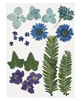 Tørrede blomster og blade - Creativ Company