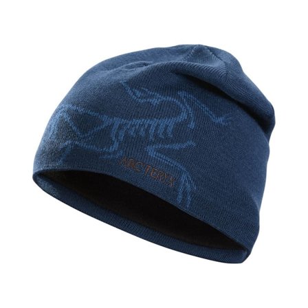 Arc'teryx Bird Head Toque Unisex beanies Blue OneSize