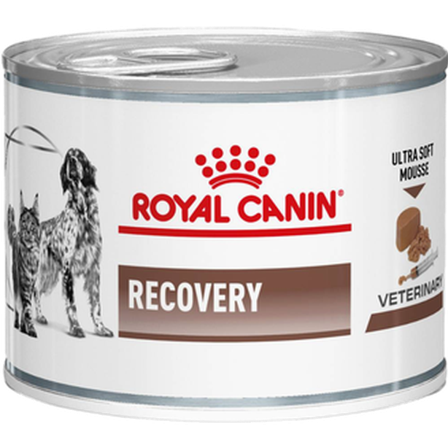 Royal Canin Veterinary Diets Dog - Gastrointestinal Recovery Ultra Soft Mousse Våtfôr for katter og hunder 195 g x 12 - Hund - Hundefôr & hundemat - 