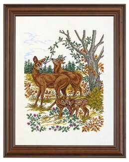 Bild Rehe - Aida - Rosenstand