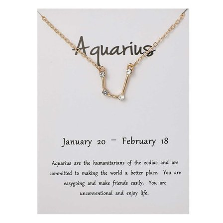 Zodiac Sign halskjede Vannmannen Vannmannsgave halskjede gull