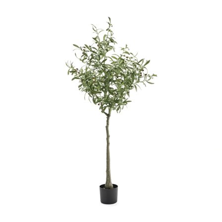 Artificial plant EVERGREEN, Olive tree, H 1700 mm, 1-pack