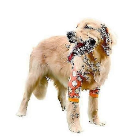 Albuebeskytter for middels store og store hunder, knebeskyttere, leddbeskyttelse, anti-slitasje, kjæledyrartikler RØD 2XL