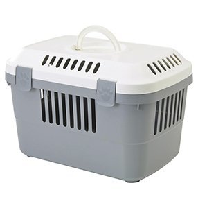 Discovery 1 Transportbur