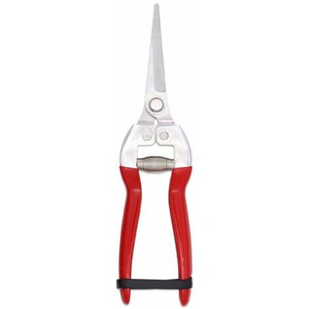 Blomstersaks til beskæring af Bonsai-planter, rustfrit stål (GPPS-1008). Saks til blomsterbinding og havearbejde Colibri