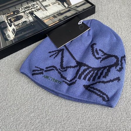 ARC'TERYX Herre Beanie Casual Varm Vinter Ski Hodeplagg A