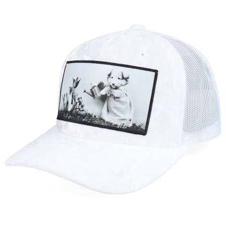 Calza Pennello - Hvid trucker Kasket - Dog Watering Plant Velvet White/White A-frame @ Hatstore
