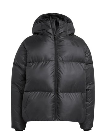 adidas Sportswear | J Z.n.e. Jkt | 176