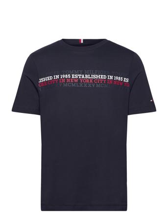 Center Chest Stripe Tee T-shirts Short-sleeved Marineblå Tommy Hilfiger*Betinget Tilbud