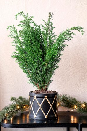 Zelected by Houze - Pot Drum Grand - Svart - Krukker & vaser - Fra Homeroom