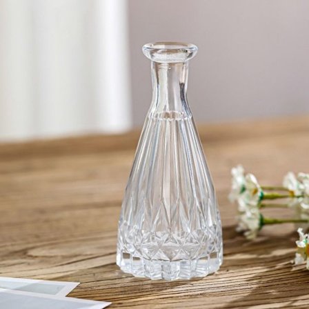 Glassvase Hydroponic Plant Vase 02 02