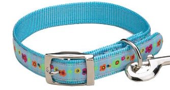 East Side Collection - East Side Fashion Collar Blue- Hundhalsband