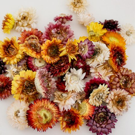 Tørrede Blomster Blomsterbuket Tørrede Blomster Naturlige Tørrede Blomster, ZQKLA