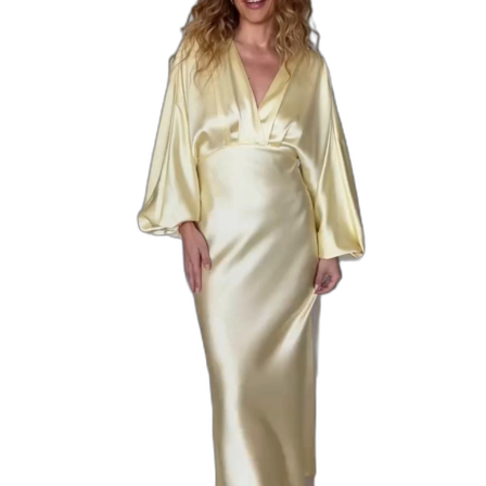 Sökes Gina klänning