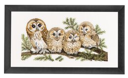 Broderipakke Bilde Ugler Lin - Rosenstand