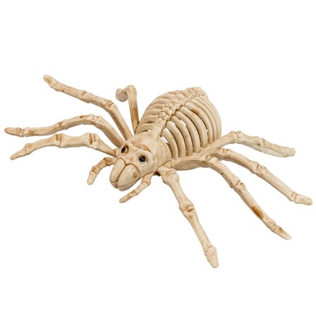 Spindel Skelett Dekoration