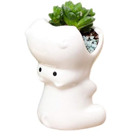 1 st saftig krukväxt för utomhusdekoration, för uteplats, balkong, Y