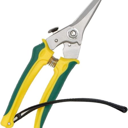 Beskærersaks i kulstofstål til geder, alpakaer og får