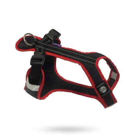 Zero DC - Zero DC Shorter Svart & Röd - Hundsele