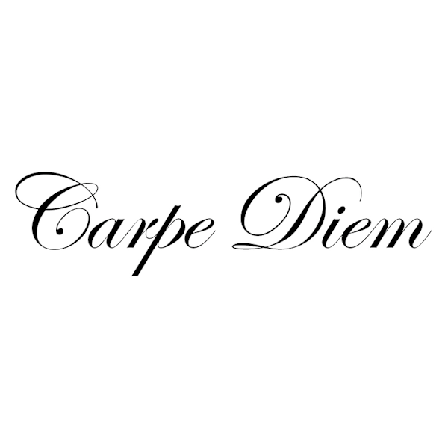 Väggord - Carpe Diem STOR