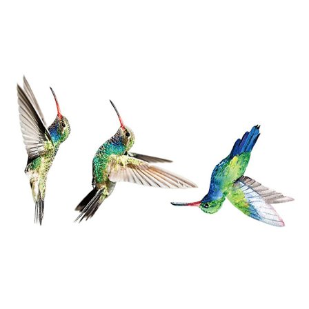 6 stk. Vinduesklistermærker Anti-kollision Farverige Dobbeltsidet Tryk Ikke