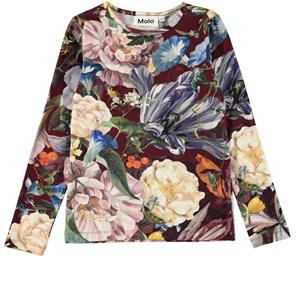 Molo Botanical Canvas Rose GOTS T-Shirt 104 cm - Tops - 104 CM - Purple