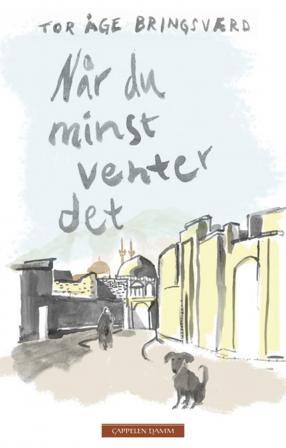 Når du minst venter det - Bok av Tor Åge Bringsværd - Pocket