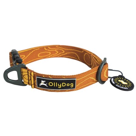 OllyDog Rescue Collar Large Dog Harnesses & Dog Collars Orange Small