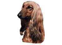 Afghansk Mynde blond hode - klistremerker