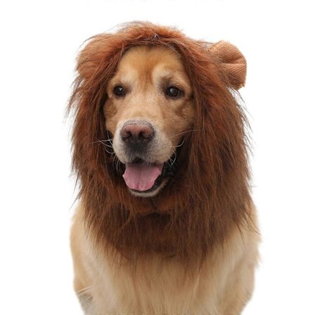 Hundeløvemanke-kostumer til Halloween jul, sjov kæledyrsløvemanke-paryk