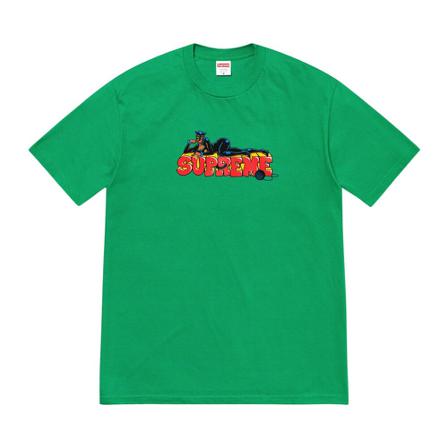 Supreme, T-Shirts Groen, Heren, Maat:M,Cotton,Bedrukt