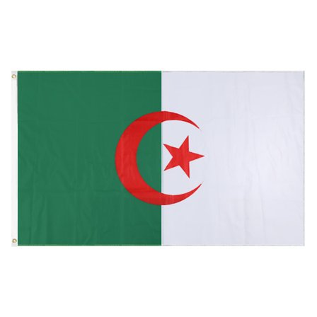 90*150cm Algeriet flag 3*5Ft polyester flag