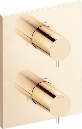 Mora INXX II 275060.60 Täckplatta för inbyggnad, utvändig del kpl Polerad mässing, Badrum