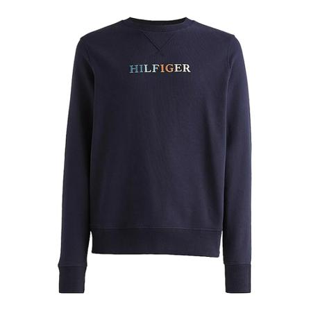 Tommy Hilfiger, Hoodies Blauw, Heren, Maat:XL