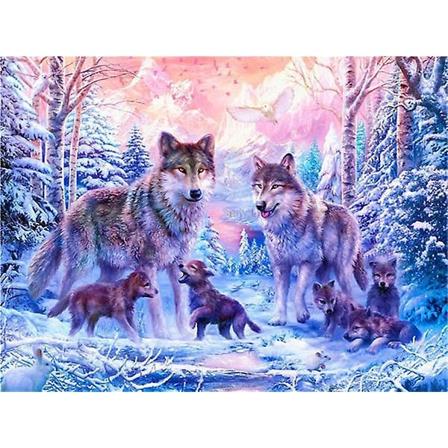Fantasy 5D diamond painting , 30x40cm, sopii aikuisille ja lapsille, timanttijalokivikristalliristipistoseinäkoriste