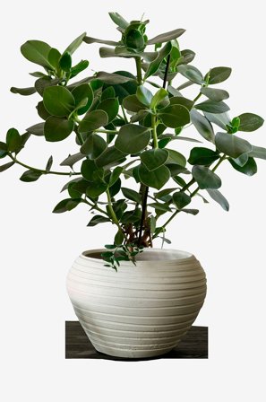 Zelected by Houze - Kruka Bocco Vit - Vit - Krukor & vaser - Från Homeroom