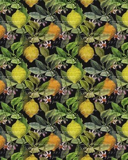 Metervara Citrus Svart - Arvidssons Textil