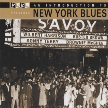 Wilbert harrison, buster brown, sonny terry, brownie mcghee... V/A-NEW YORK BLUES