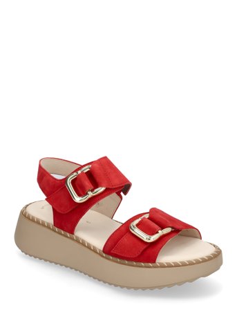 Gabor | Sandal | 40