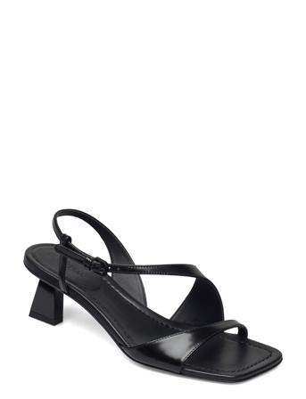 Nogal Black Sportmax