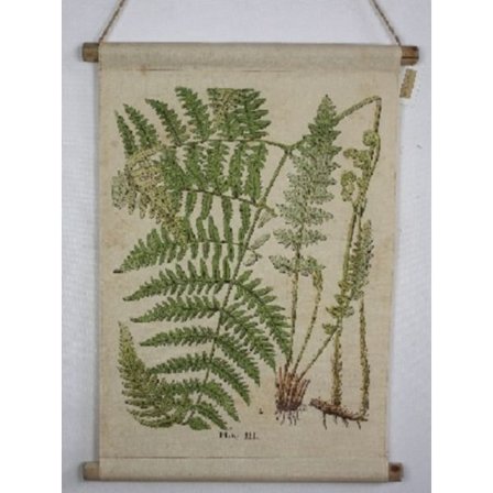 017 Canvas tavle Ormbunke